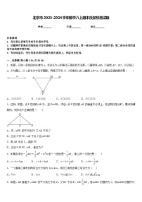 北京市2023-2024学年数学八上期末质量检测试题含答案