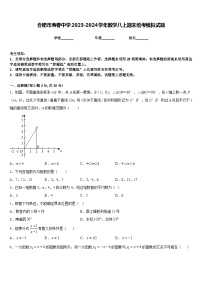 合肥市寿春中学2023-2024学年数学八上期末统考模拟试题含答案