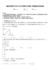 南昌艾溪湖中学2023-2024学年数学八年级第一学期期末复习检测试题含答案