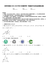 合肥市瑶海区2023-2024学年八年级数学第一学期期末学业质量监测模拟试题含答案