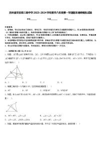 吉林省农安县三岗中学2023-2024学年数学八年级第一学期期末调研模拟试题含答案