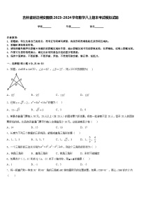 吉林省延边州安图县2023-2024学年数学八上期末考试模拟试题含答案