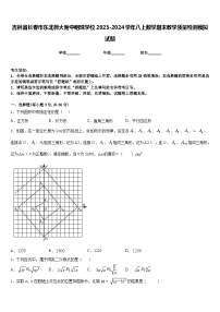 吉林省长春市东北师大附中明珠学校2023-2024学年八上数学期末教学质量检测模拟试题含答案