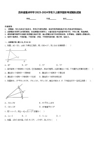 吉林省重点中学2023-2024学年八上数学期末考试模拟试题含答案