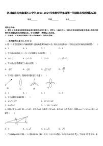 四川省宜宾市南溪区三中学2023-2024学年数学八年级第一学期期末检测模拟试题含答案