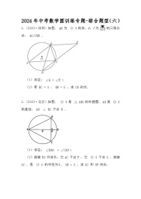 2024年中考数学圆训练专题-综合题型（六）（原卷+解析）