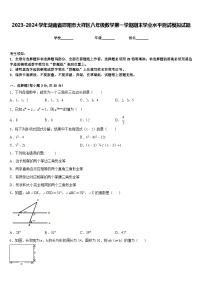 2023-2024学年湖南省邵阳市大祥区八年级数学第一学期期末学业水平测试模拟试题含答案