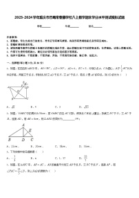 2023-2024学年重庆市巴蜀常春藤学校八上数学期末学业水平测试模拟试题含答案