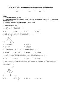 2023-2024学年广西合浦县联考八上数学期末学业水平测试模拟试题含答案