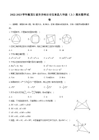 2022-2023学年黑龙江省齐齐哈尔市克东县八年级（上）期末数学试卷(含解析）