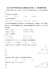 2022-2023学年四川省乐山市峨边县九年级（上）期末数学试卷(含解析）