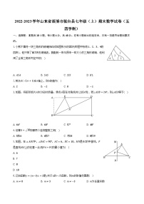 2022-2023学年山东省淄博市桓台县七年级（上）期末数学试卷（五四学制）(含解析）