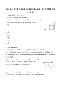 2023-2024学年四川省成都七中高新校区九年级（上）月考数学试卷（12月份）(含解析）