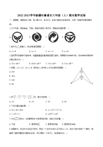 2022-2023学年新疆吐鲁番市八年级（上）期末数学试卷(含解析）