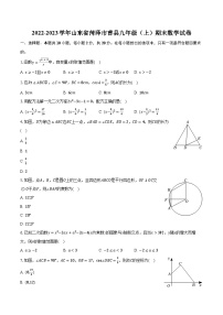 2022-2023学年山东省菏泽市曹县九年级（上）期末数学试卷(含解析）