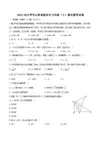 2022-2023学年山东省临沂市七年级（上）期末数学试卷(含解析）