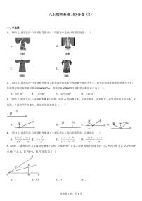 长沙四大名校八上期末基础100分卷（2）