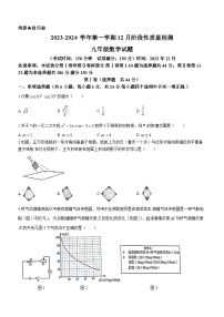 山东省枣庄市市中区2023-2024学年九年级上学期期末数学试题