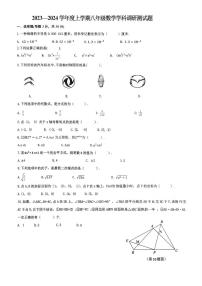 黑龙江省哈尔滨市道里区2023-2024学年八年级上学期期末数学试卷
