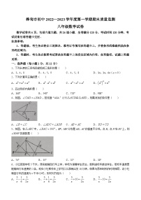 吉林省吉林市桦甸市2022-2023学年八年级上学期期末数学试题