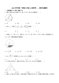 浙江省宁波市余姚市余姚市实验学校2023-2024学年九年级上学期期末数学试题