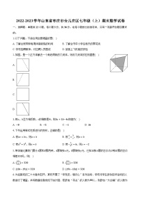 2022-2023学年山东省枣庄市台儿庄区七年级（上）期末数学试卷（含解析）