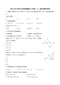 2022-2023学年山西省晋城市八年级（上）期末数学试卷（含解析）