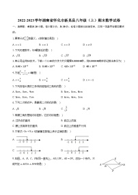 2022-2023学年湖南省怀化市新晃县八年级（上）期末数学试卷（含解析）