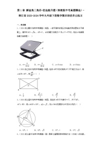 第1章解直角三角形-优选提升题（浙教版中考真题精选）-浙江省2023-2024学年九年级下册数学期