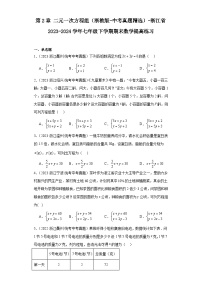 第2章二元一次方程组（浙教版-中考真题精选）-浙江省2023-2024学年七年级下学期期末数学提高