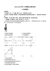 河南省平顶山市舞钢市2023-2024学年九年级上学期期末数学试题