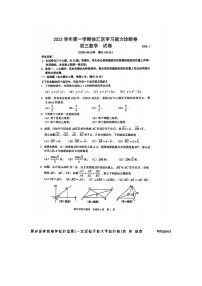 上海市徐汇区2023-2024学年九年级上学期学习能力诊断卷数学试题（一模）