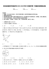 四川省成都嘉祥外国语学校2023-2024学年八年级数学第一学期期末调研模拟试题含答案