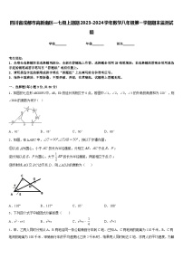 四川省成都市高新南区—七级上期期2023-2024学年数学八年级第一学期期末监测试题含答案