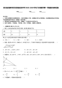 四川省成都市青羊区树德实验中学2023-2024学年八年级数学第一学期期末调研试题含答案