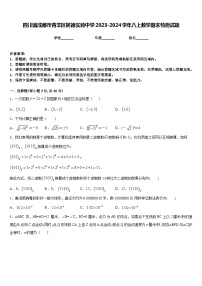 四川省成都市青羊区树德实验中学2023-2024学年八上数学期末检测试题含答案