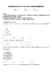 四川省达州市达川区2023-2024学年八上数学期末检测模拟试题含答案