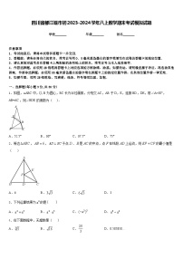 四川省都江堰市初2023-2024学年八上数学期末考试模拟试题含答案