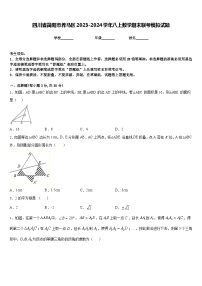 四川省简阳市养马区2023-2024学年八上数学期末联考模拟试题含答案