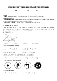 四川省邛崃市高埂中学2023-2024学年八上数学期末统考模拟试题含答案