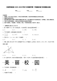 安徽界首地区2023-2024学年八年级数学第一学期期末复习检测模拟试题含答案