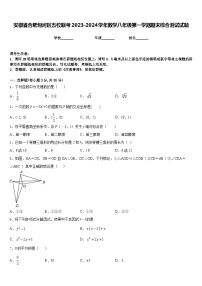 安徽省合肥包河区五校联考2023-2024学年数学八年级第一学期期末综合测试试题含答案