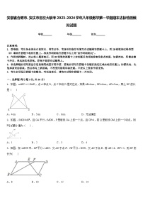 安徽省合肥市、安庆市名校大联考2023-2024学年八年级数学第一学期期末达标检测模拟试题含答案