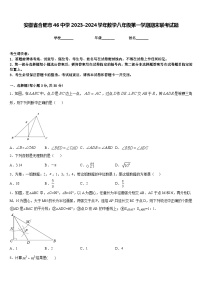 安徽省合肥市46中学2023-2024学年数学八年级第一学期期末联考试题含答案