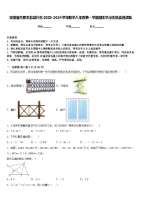 安徽省合肥市北城片区2023-2024学年数学八年级第一学期期末学业质量监测试题含答案