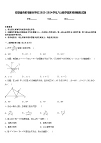 安徽省合肥市部分学校2023-2024学年八上数学期末检测模拟试题含答案