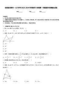 安徽省合肥市一六八中学2023-2024学年数学八年级第一学期期末检测模拟试题含答案