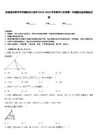 安徽省合肥市中学国科技大附中2023-2024学年数学八年级第一学期期末监测模拟试题含答案