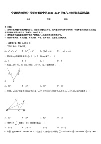 宁夏回族自治区中学卫市第五中学2023-2024学年八上数学期末监测试题含答案