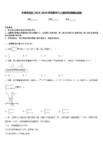 天津河北区2023-2024学年数学八上期末检测模拟试题含答案